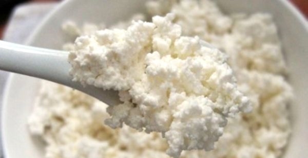 Kefir (tibetanski, mliječni) gljiva: korisna svojstva i kontraindikacije, upute, osvrti