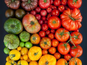Най-добрите сортове домати за 2019 година
