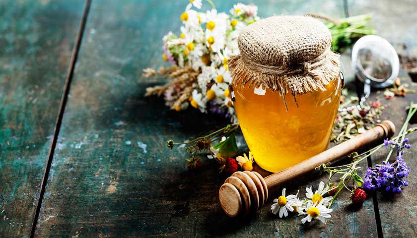 Лікування варикозу медом: особливості терапії
