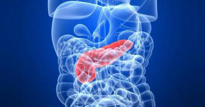 Primele semne de boală pancreatică la femei: simptome și trăsături de tratament