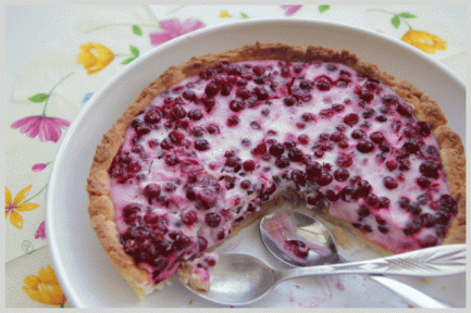 Frozen Cranberry Pie