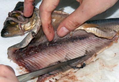 Hızlı bir şekilde kemikten ringa balığı nasıl temizlenir