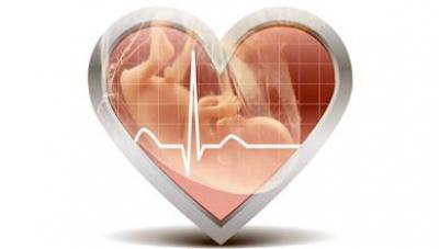 Чи можливо визначити стать дитини по серцебиття?