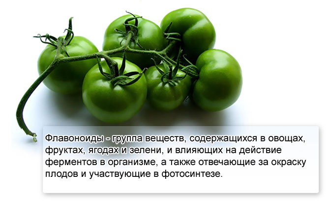 Zelené rajčata pro křečové žíly na nohou: jaké je použití a jak se léčit