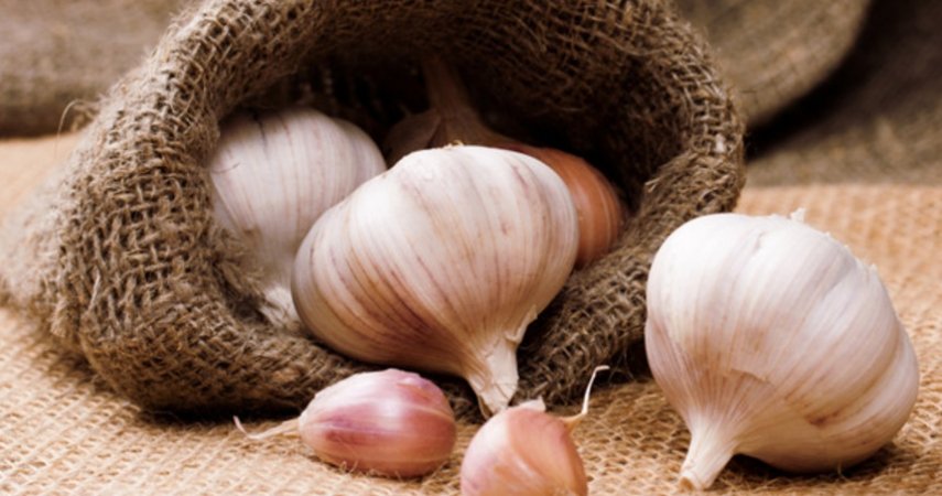 Come usare l'aglio per aumentare l'immunità