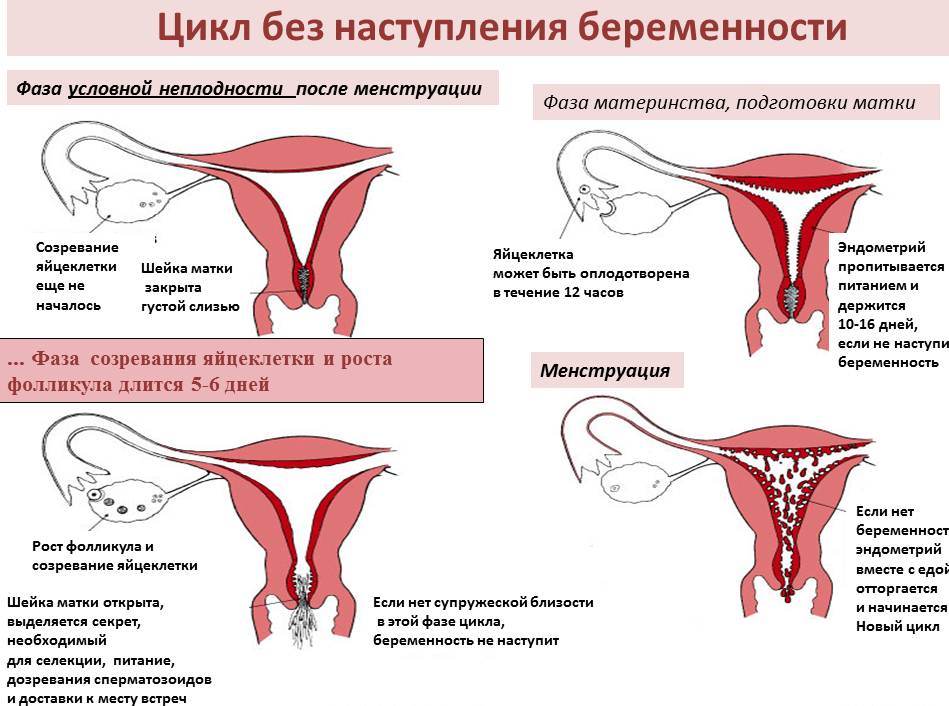 Kako zmanjšati bolečino med menstruacijo