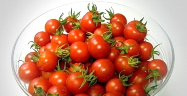 Расте сорти на сенор домати: 6 доблести